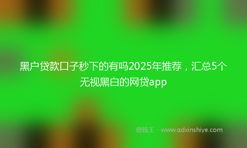 黑户贷款口子秒下的有吗2025年推荐，汇总5个无视黑白的网贷app