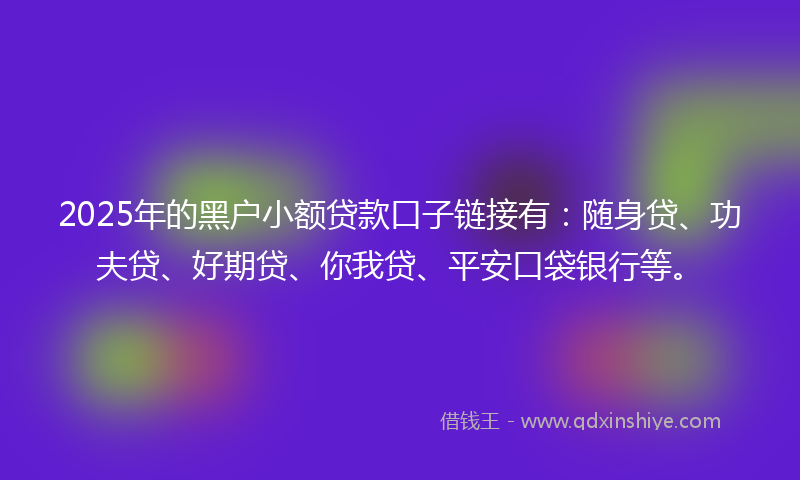 2025年的黑户小额贷款口子链接有：随身贷、功夫贷、好期贷、你我贷、平安口袋银行等。
