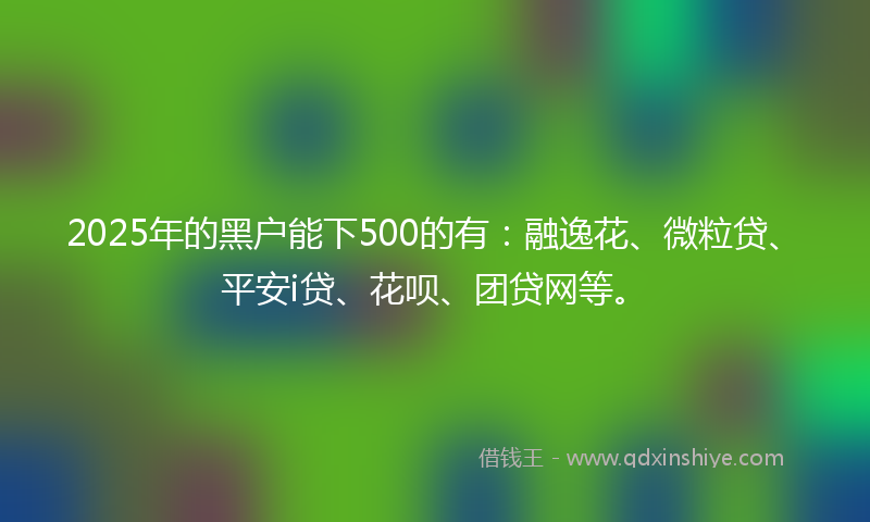 2025年的黑户能下500的有：融逸花、微粒贷、平安i贷、花呗、团贷网等。