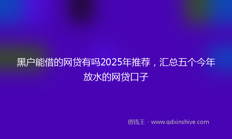 黑户能借的网贷有吗2025年推荐，汇总五个今年放水的网贷口子
