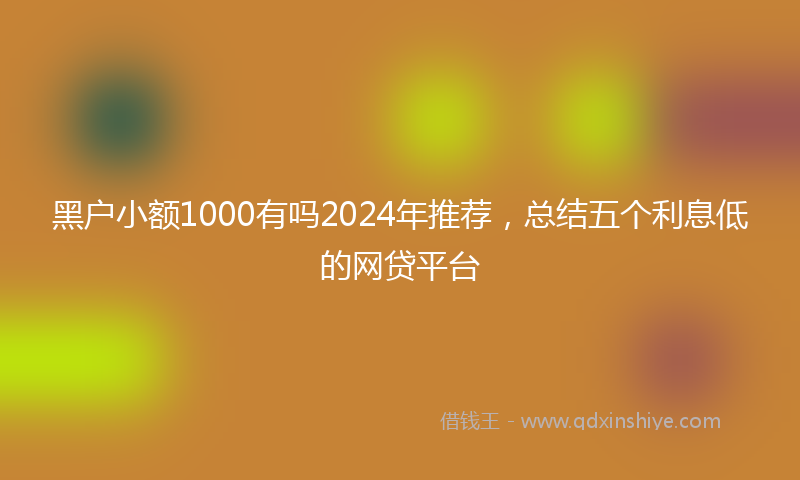 黑户小额1000有吗2024年推荐，总结五个利息低的网贷平台