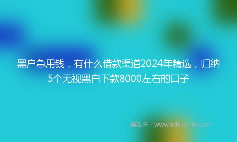 黑户急用钱，有什么借款渠道2024年精选，归纳5个无视黑白下款8000左右的口子