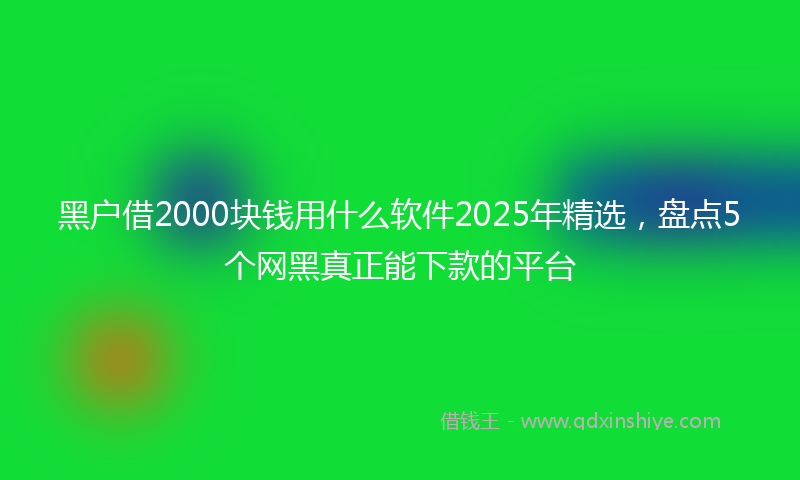 黑户借2000块钱用什么软件2025年精选，盘点5个网黑真正能下款的平台
