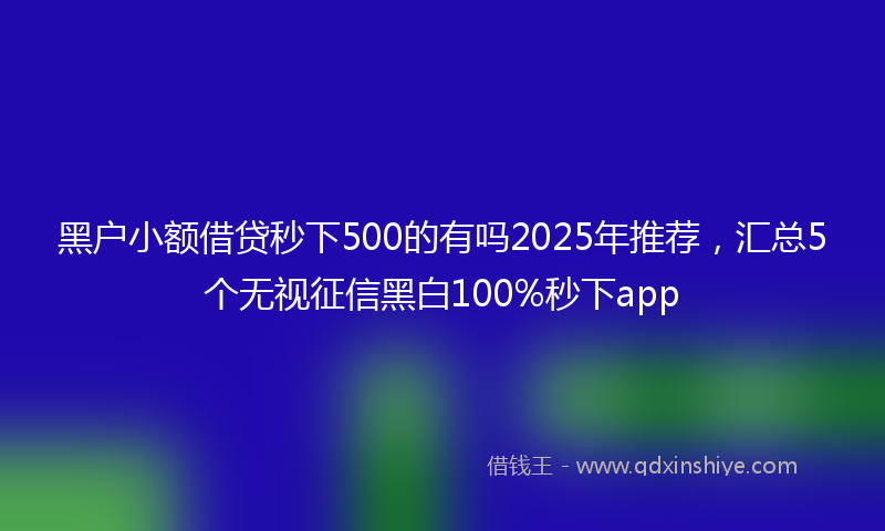 黑户小额借贷秒下500的有吗2025年推荐，汇总5个无视征信黑白100%秒下app