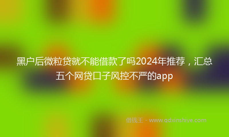黑户后微粒贷就不能借款了吗2024年推荐，汇总五个网贷口子风控不严的app