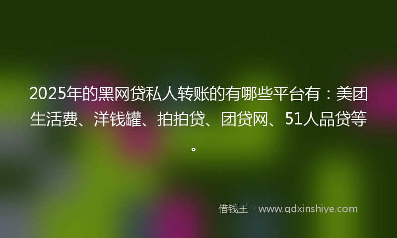 2025年的黑网贷私人转账的有哪些平台有：美团生活费、洋钱罐、拍拍贷、团贷网、51人品贷等。