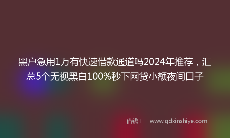 黑户急用1万有快速借款通道吗2024年推荐，汇总5个无视黑白100%秒下网贷小额夜间口子