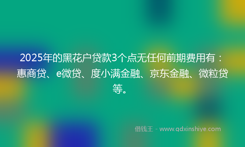 2025年的黑花户贷款3个点无任何前期费用有：惠商贷、e微贷、度小满金融、京东金融、微粒贷等。