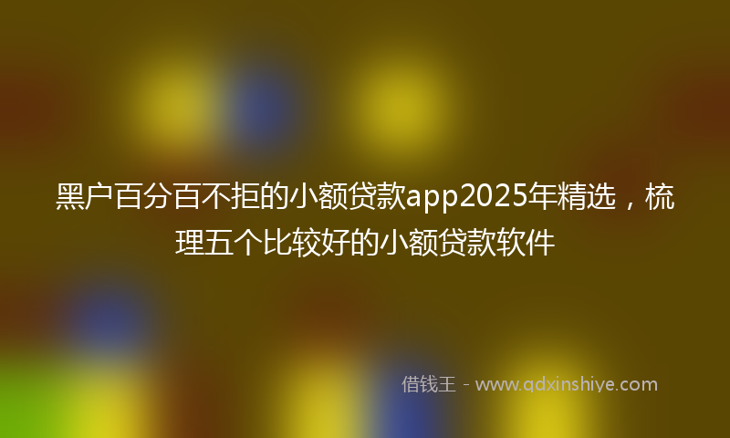 黑户百分百不拒的小额贷款app2025年精选，梳理五个比较好的小额贷款软件