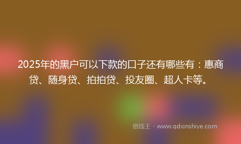 2025年的黑户可以下款的口子还有哪些有：惠商贷、随身贷、拍拍贷、投友圈、超人卡等。