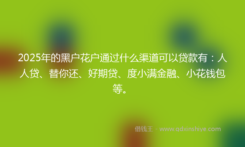 2025年的黑户花户通过什么渠道可以贷款有：人人贷、替你还、好期贷、度小满金融、小花钱包等。