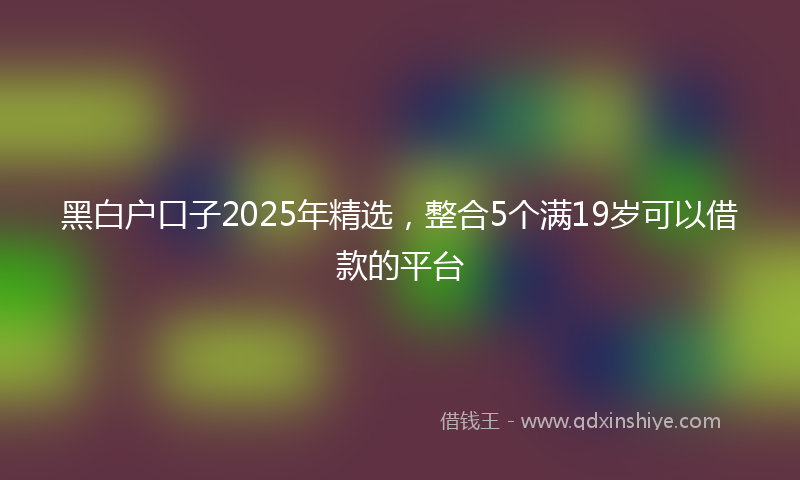 黑白户口子2025年精选，整合5个满19岁可以借款的平台
