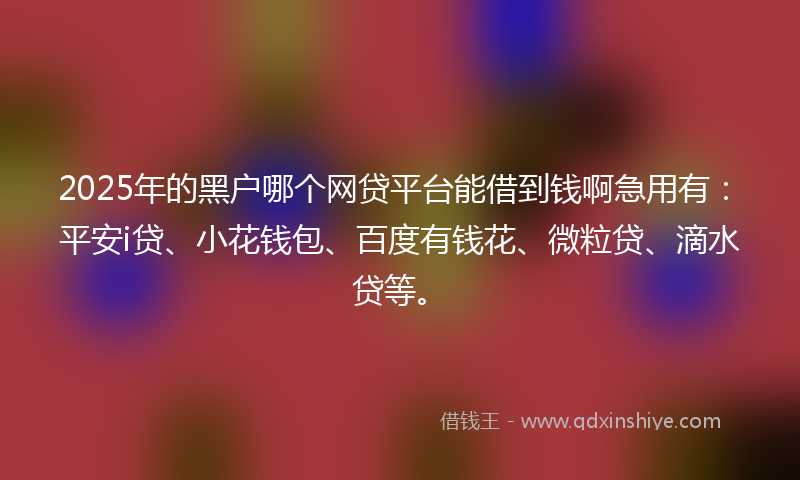 2025年的黑户哪个网贷平台能借到钱啊急用有：平安i贷、小花钱包、百度有钱花、微粒贷、滴水贷等。