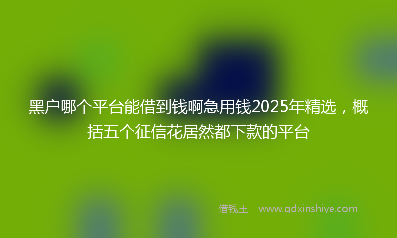黑户哪个平台能借到钱啊急用钱2025年精选，概括五个征信花居然都下款的平台