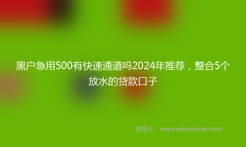 黑户急用500有快速通道吗2024年推荐,整合5个放水的贷款口子