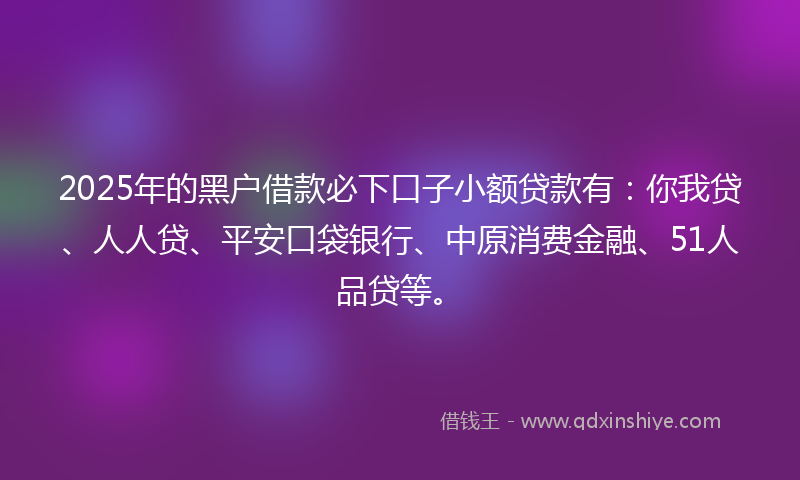 2025年的黑户借款必下口子小额贷款有：你我贷、人人贷、平安口袋银行、中原消费金融、51人品贷等。