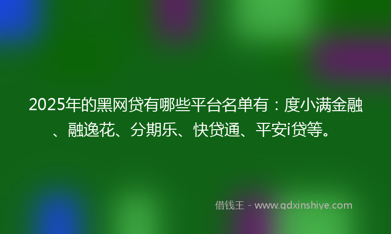 2025年的黑网贷有哪些平台名单有：度小满金融、融逸花、分期乐、快贷通、平安i贷等。