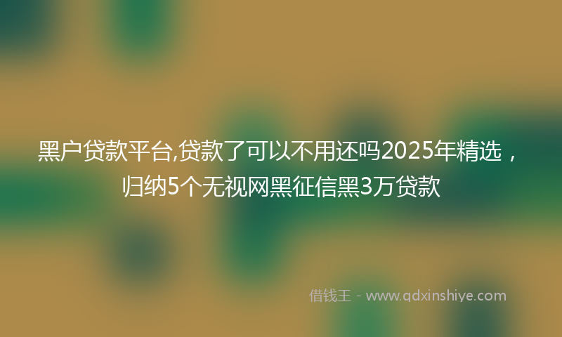 黑户贷款平台,贷款了可以不用还吗2025年精选，归纳5个无视网黑征信黑3万贷款