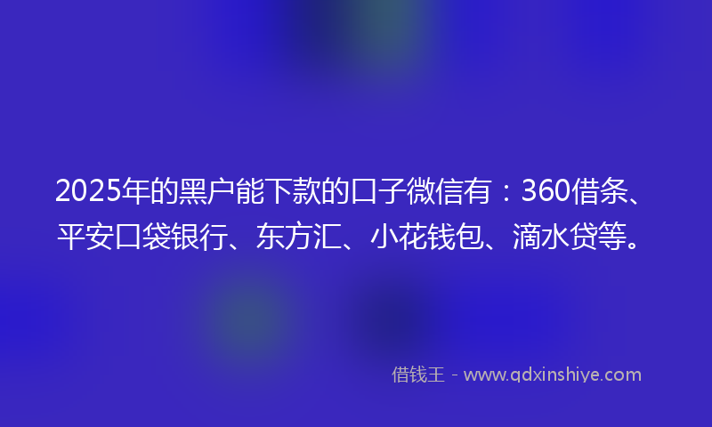 2025年的黑户能下款的口子微信有：360借条、平安口袋银行、东方汇、小花钱包、滴水贷等。
