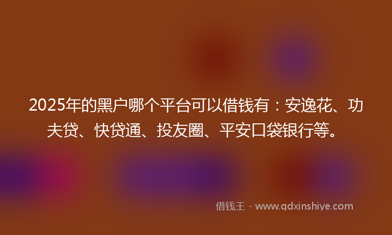 2025年的黑户哪个平台可以借钱有：安逸花、功夫贷、快贷通、投友圈、平安口袋银行等。