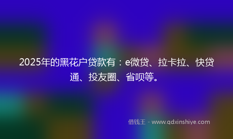2025年的黑花户贷款有：e微贷、拉卡拉、快贷通、投友圈、省呗等。