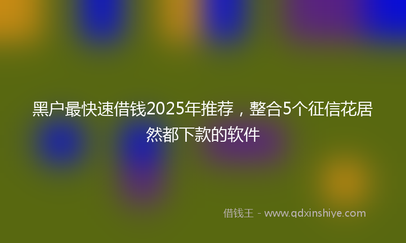 黑户最快速借钱2025年推荐，整合5个征信花居然都下款的软件