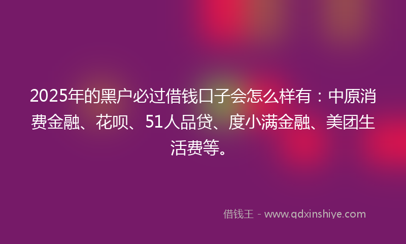 2025年的黑户必过借钱口子会怎么样有：中原消费金融、花呗、51人品贷、度小满金融、美团生活费等。