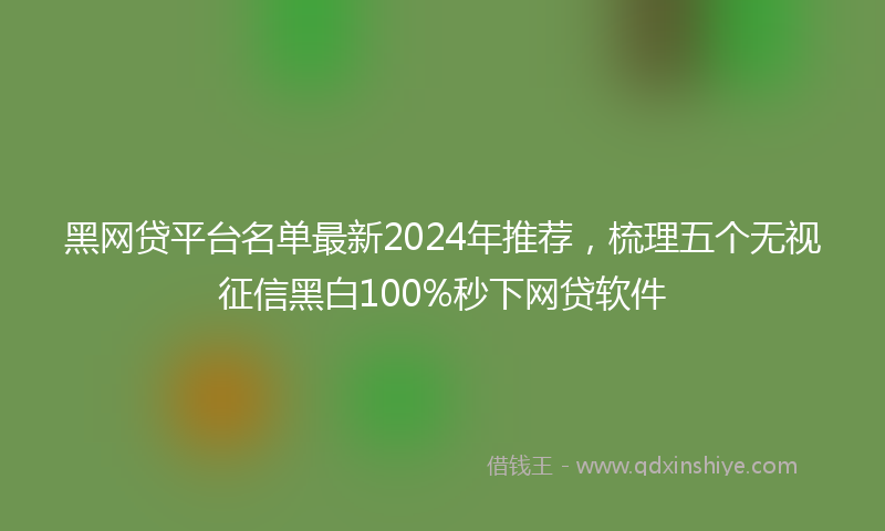 黑网贷平台名单最新2024年推荐，梳理五个无视征信黑白100%秒下网贷软件