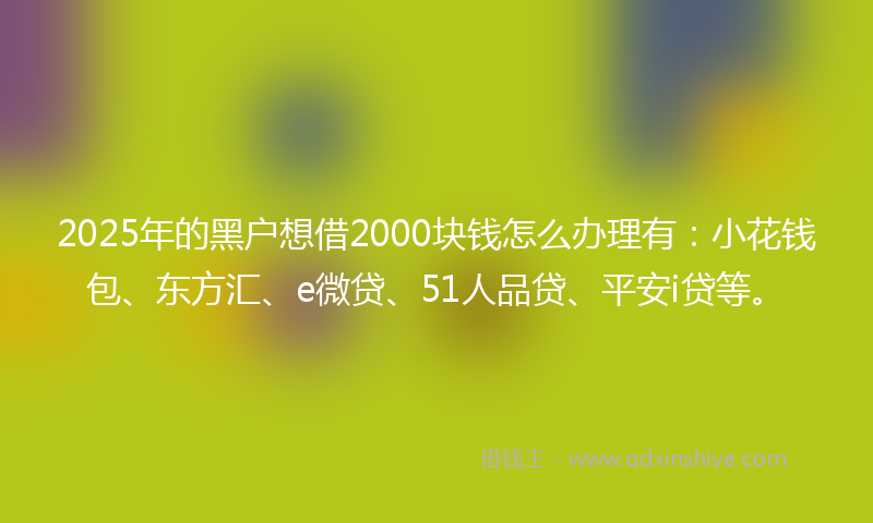 2025年的黑户想借2000块钱怎么办理有：小花钱包、东方汇、e微贷、51人品贷、平安i贷等。