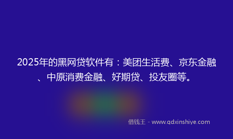 2025年的黑网贷软件有：美团生活费、京东金融、中原消费金融、好期贷、投友圈等。