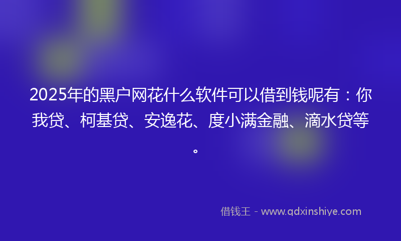 2025年的黑户网花什么软件可以借到钱呢有：你我贷、柯基贷、安逸花、度小满金融、滴水贷等。