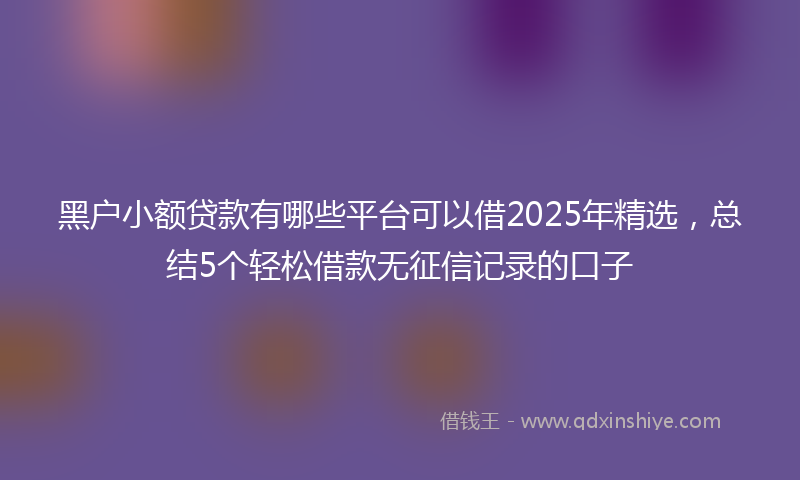 黑户小额贷款有哪些平台可以借2025年精选，总结5个轻松借款无征信记录的口子