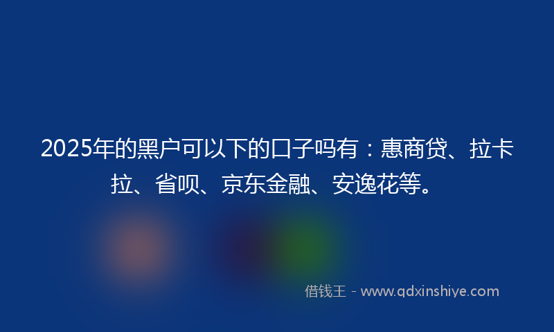 2025年的黑户可以下的口子吗有：惠商贷、拉卡拉、省呗、京东金融、安逸花等。