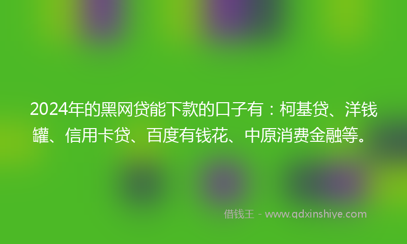 2024年的黑网贷能下款的口子有：柯基贷、洋钱罐、信用卡贷、百度有钱花、中原消费金融等。