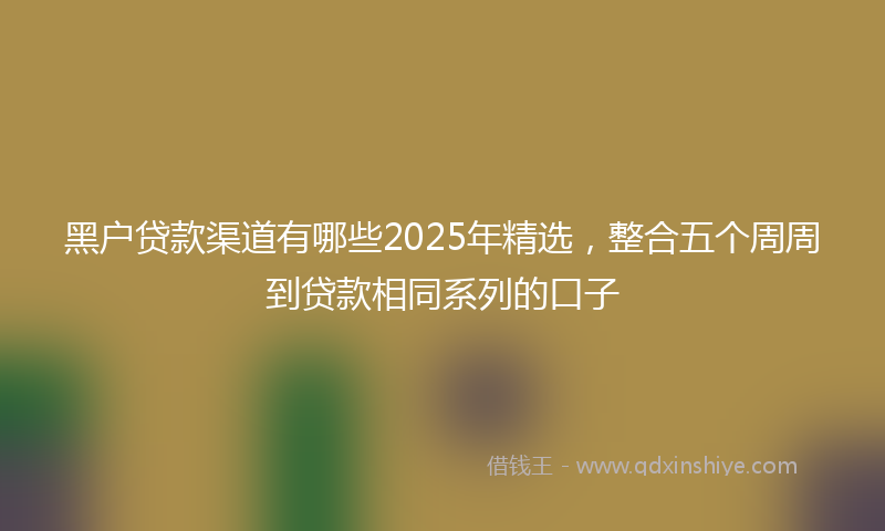 黑户贷款渠道有哪些2025年精选，整合五个周周到贷款相同系列的口子