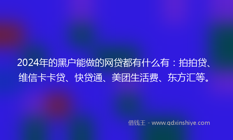 2024年的黑户能做的网贷都有什么有：拍拍贷、维信卡卡贷、快贷通、美团生活费、东方汇等。