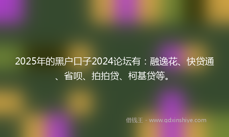 2025年的黑户口子2024论坛有：融逸花、快贷通、省呗、拍拍贷、柯基贷等。