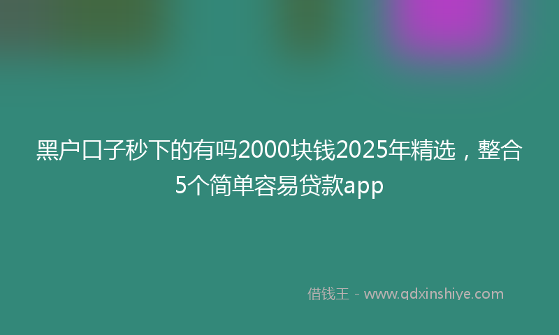 黑户口子秒下的有吗2000块钱2025年精选，整合5个简单容易贷款app