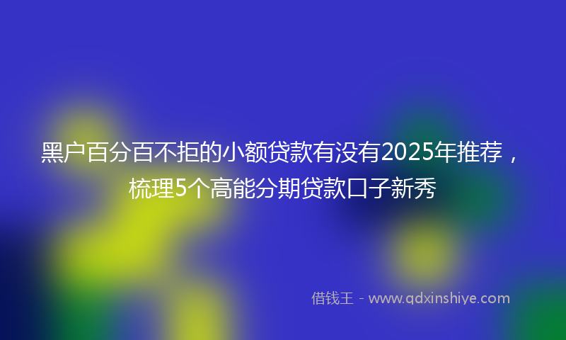 黑户百分百不拒的小额贷款有没有2025年推荐，梳理5个高能分期贷款口子新秀