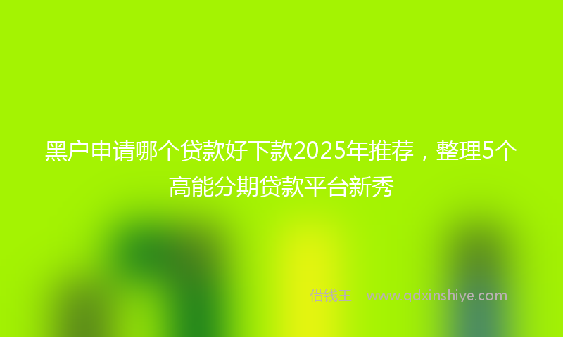 黑户申请哪个贷款好下款2025年推荐，整理5个高能分期贷款平台新秀