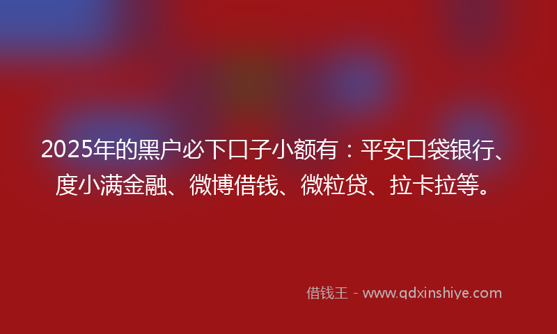 2025年的黑户必下口子小额有：平安口袋银行、度小满金融、微博借钱、微粒贷、拉卡拉等。