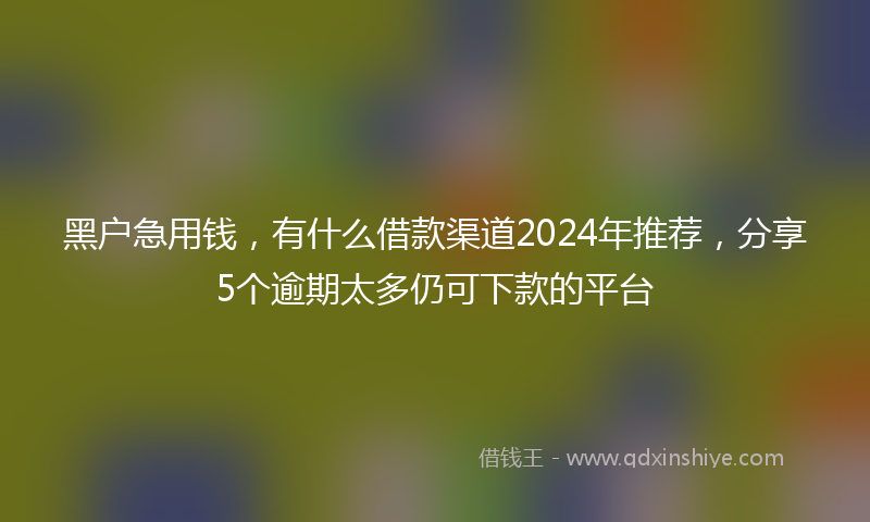 黑户急用钱，有什么借款渠道2024年推荐，分享5个逾期太多仍可下款的平台