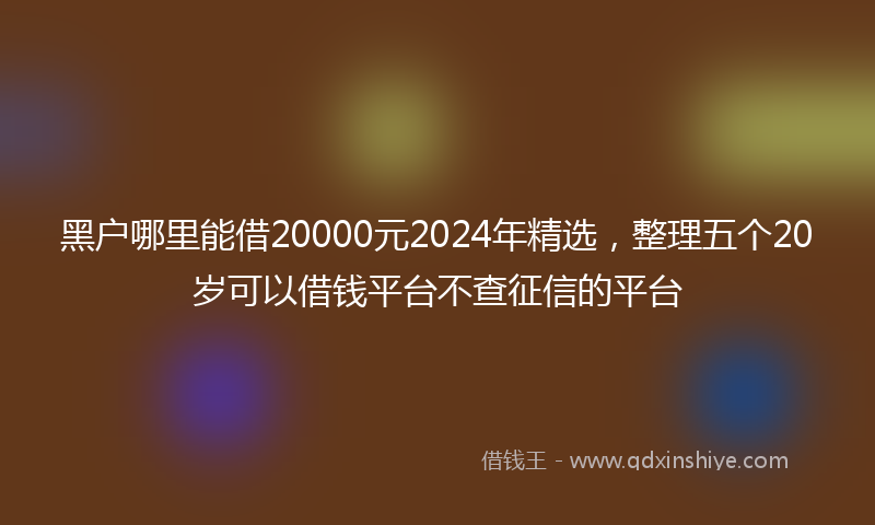 黑户哪里能借20000元2024年精选，整理五个20岁可以借钱平台不查征信的平台