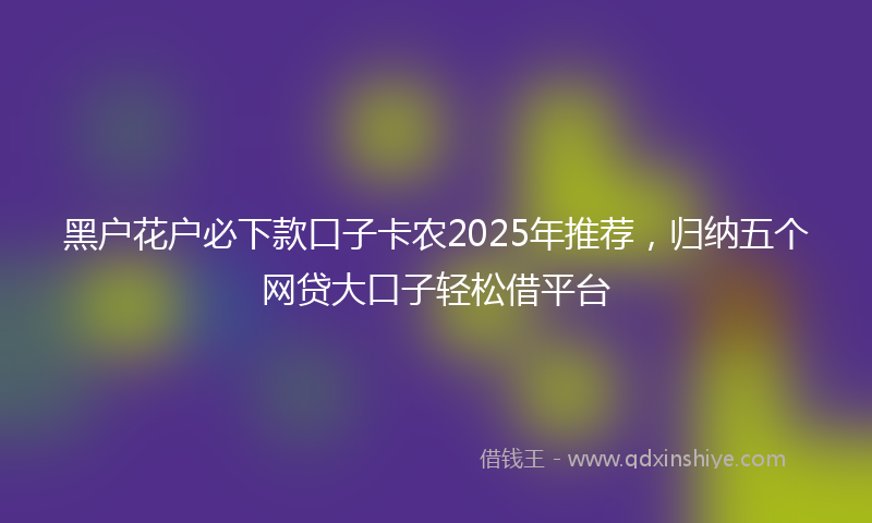 黑户花户必下款口子卡农2025年推荐，归纳五个网贷大口子轻松借平台