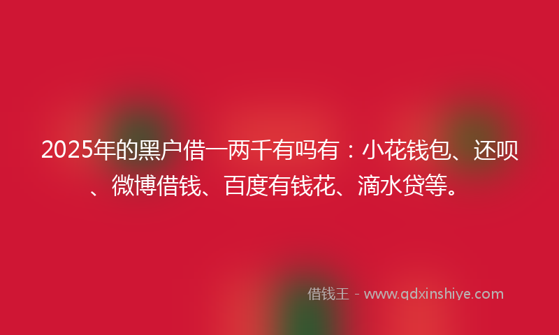 2025年的黑户借一两千有吗有：小花钱包、还呗、微博借钱、百度有钱花、滴水贷等。