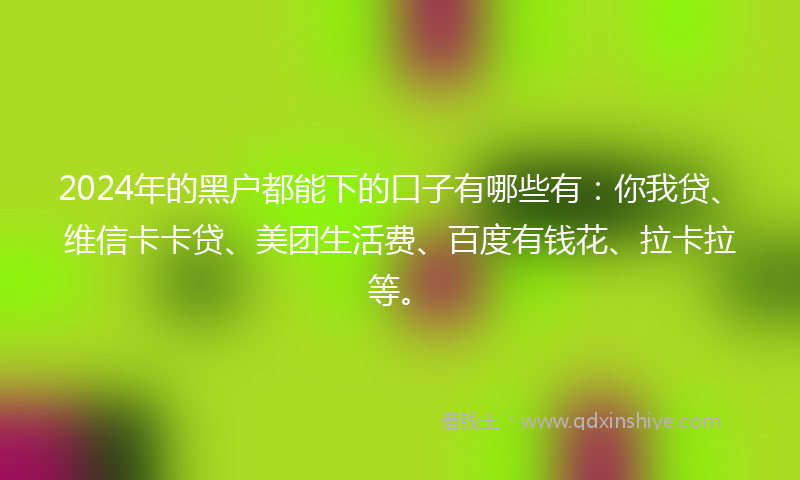 2024年的黑户都能下的口子有哪些有：你我贷、维信卡卡贷、美团生活费、百度有钱花、拉卡拉等。