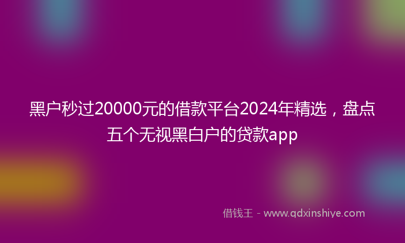 黑户秒过20000元的借款平台2024年精选，盘点五个无视黑白户的贷款app