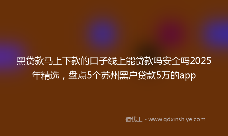 黑贷款马上下款的口子线上能贷款吗安全吗2025年精选，盘点5个苏州黑户贷款5万的app