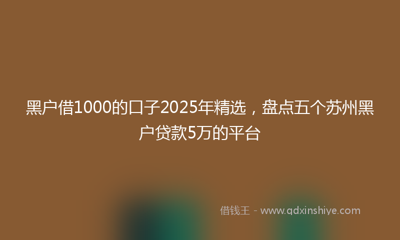 黑户借1000的口子2025年精选，盘点五个苏州黑户贷款5万的平台