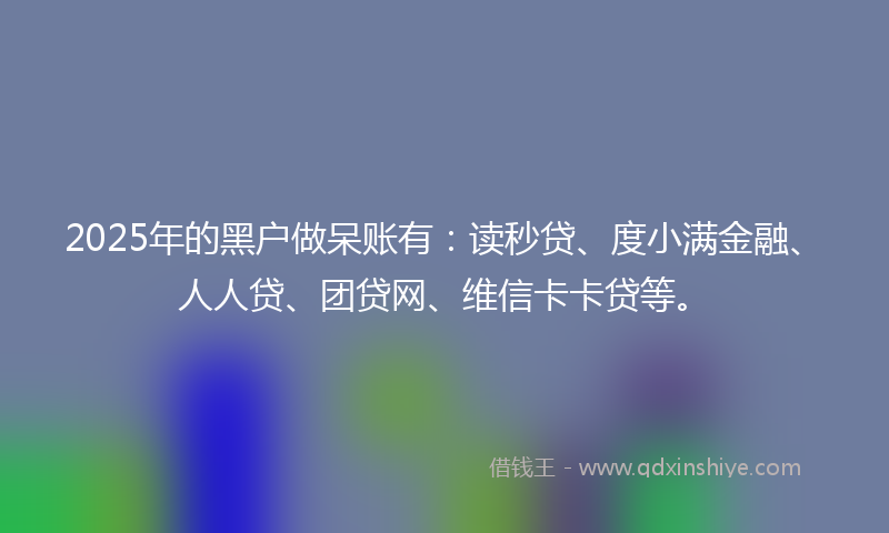2025年的黑户做呆账有：读秒贷、度小满金融、人人贷、团贷网、维信卡卡贷等。